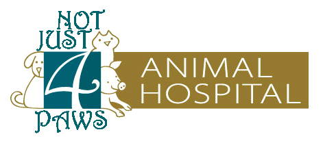 Not Just 4 Paws Animal Hospital